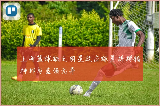 上海篮球缺乏明星效应球员拼搏精神却与蓝领无异